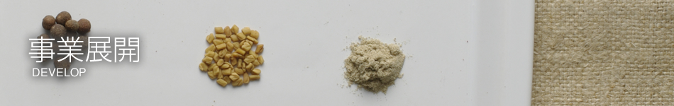 ����Ÿ��