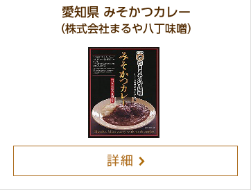 愛知県 みそかつカレー（株式会社まるや八丁味噌）